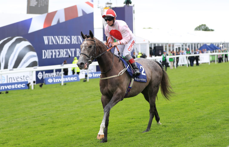 Dascombe's love for Misty Grey knows no bounds