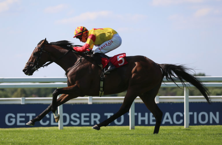 Savvy Victory in action at Sandown