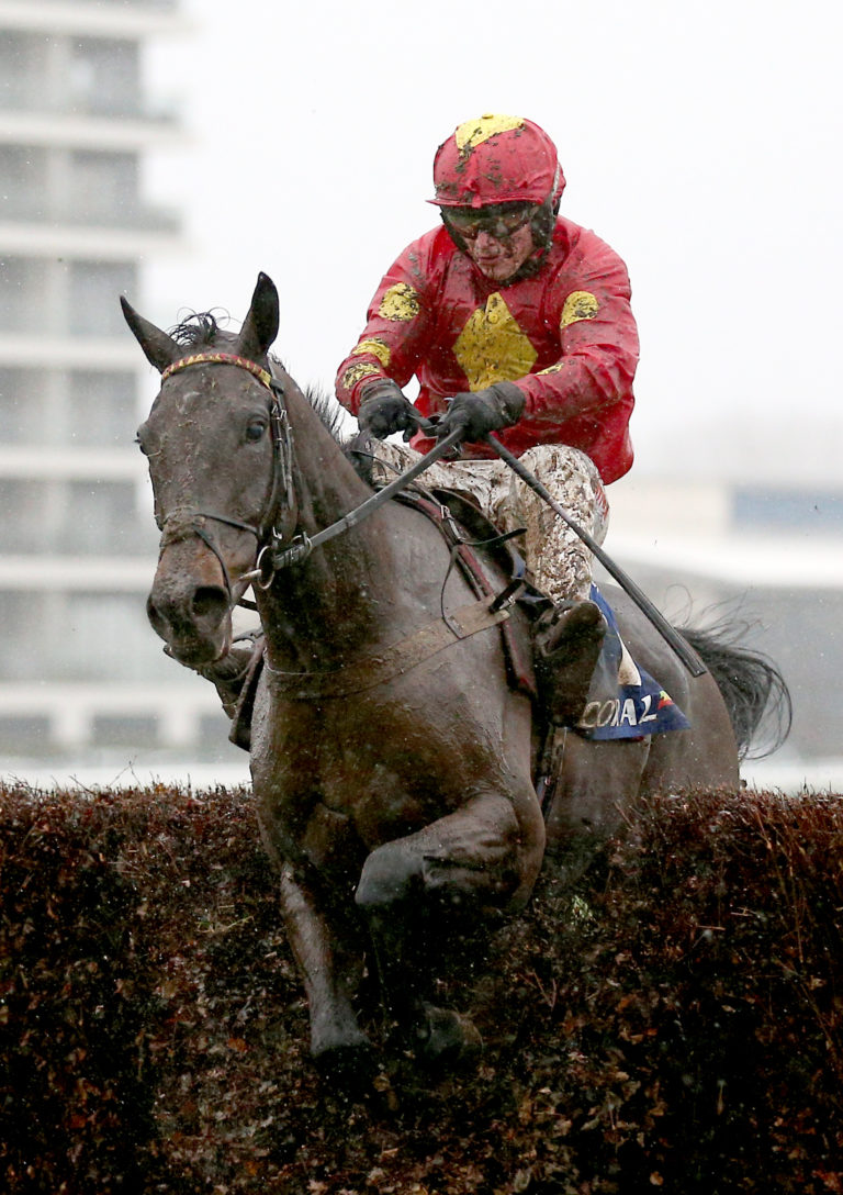 Courtland in action at Newbury previously