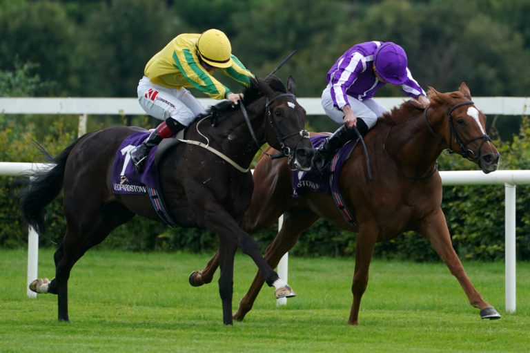 Brilliant (right) won the opening race at Leopardstown
