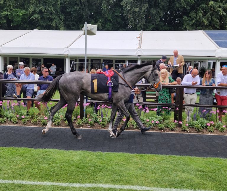 Cry Freedom/Newmarket