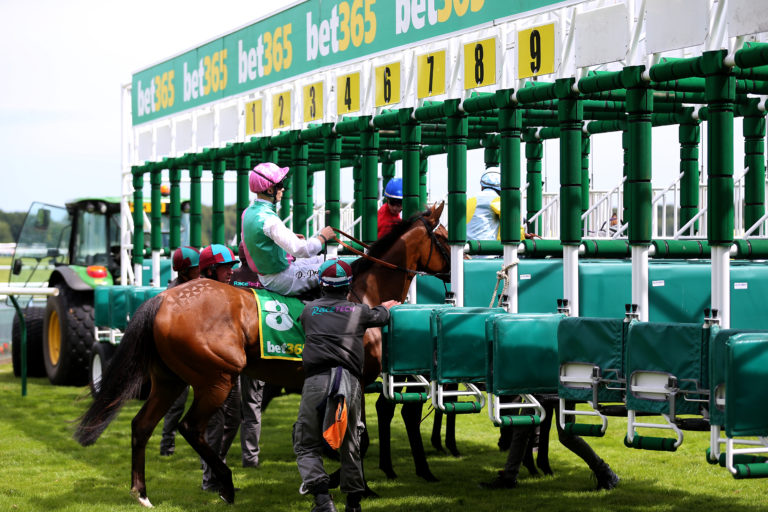 Time Lock goes into the starting stalls ahead of the Lancashire Oaks