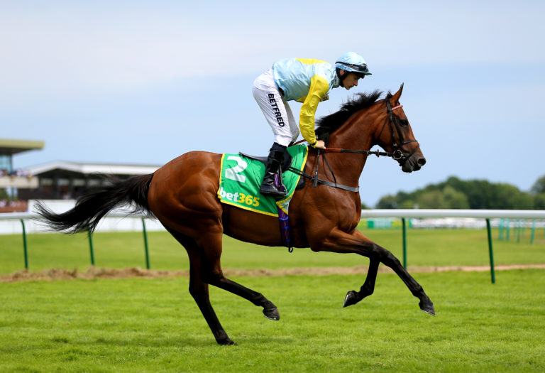 Luisa Casati at Haydock