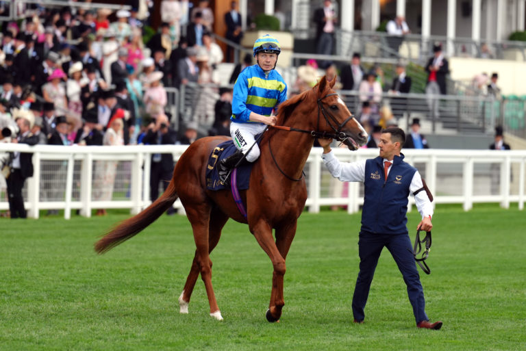 Light Infantry on his way to post for the Queen Anne Stakes