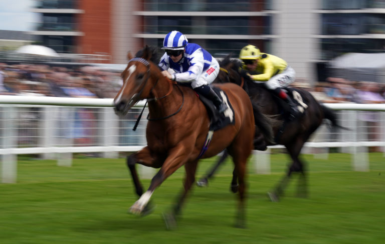 Cogitate winning on debut