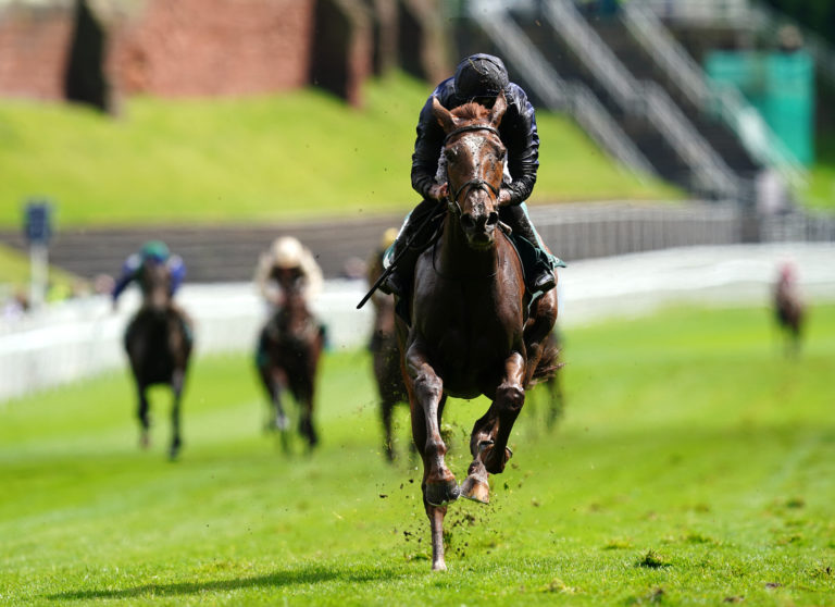 Savethelastdance flying home in the Cheshire Oaks