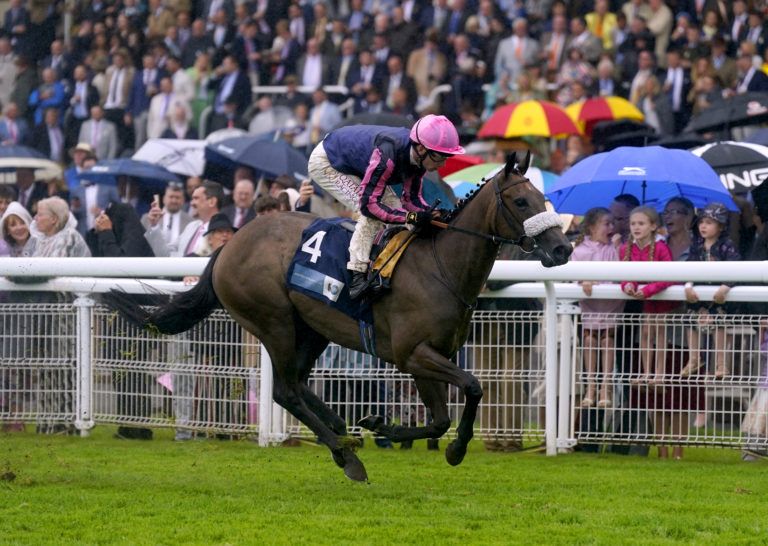 Flora Of Bermuda at Goodwood