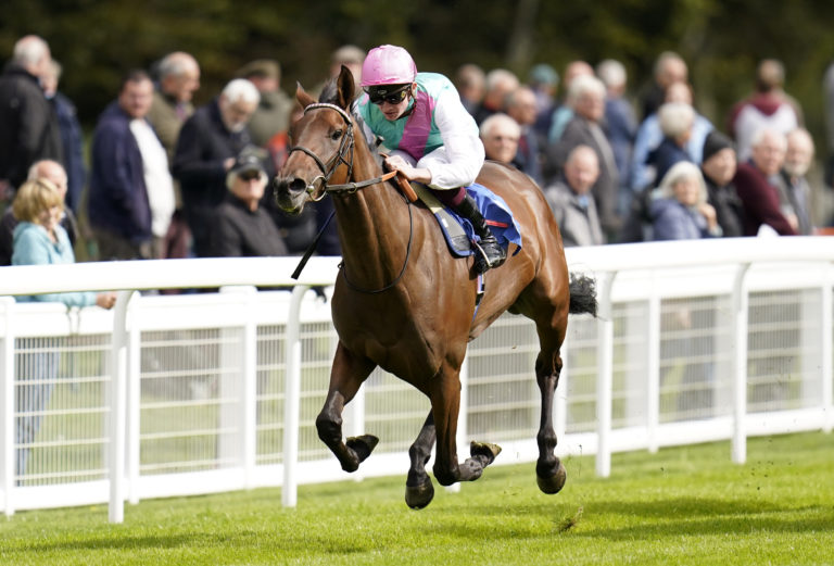 Bluestocking is less effective on quicker ground