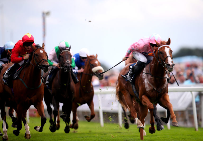 Live In The Dream (right) held them all at bay