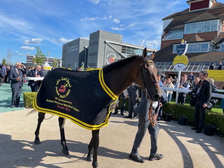 Sakheer was hugely impressive in last year's Mill Reef Stakes