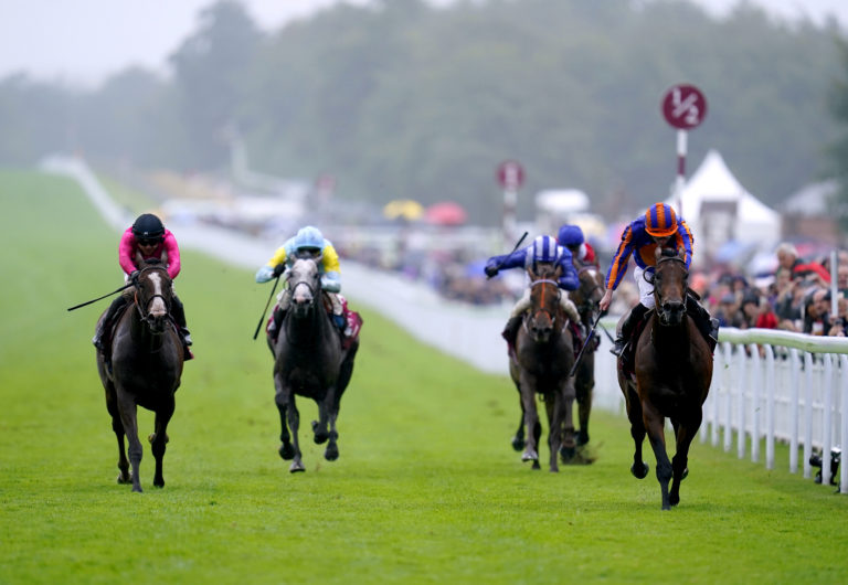 Facteur Cheval (left) could set up a rematch with Paddington (right) with a strong showing at ParisLongchamp