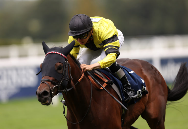Rogue Lightning winning in the colours of the Rest of the World during Ascot's Shergar Cup meeting