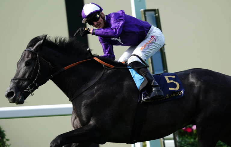Royal Ascot winner King Of Steel is favourite for the Royal Bahrain Irish Champion Stakes