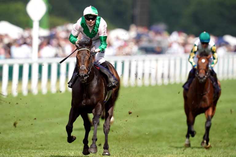 Khaadem caused a huge shock at Royal Ascot