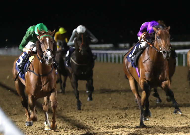 Thunder Moor (left) sealed a treble for Ireland