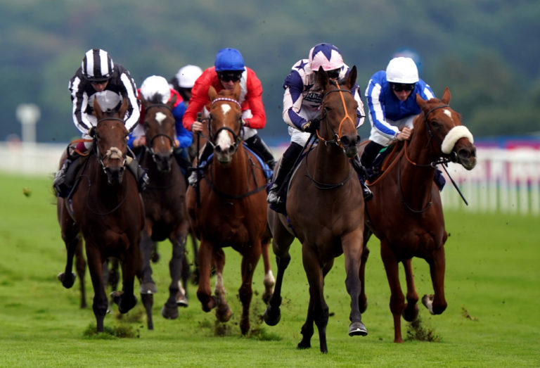 Circe (second right) looks to have a bright future