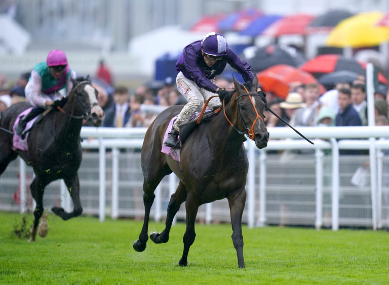 Magical Sunset relished the ground at Goodwood