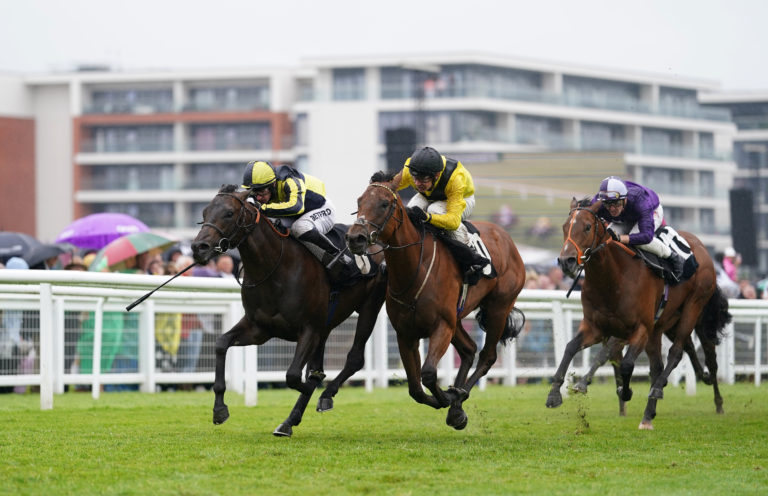 Mister Sketch (yellow) has run at Newbury before