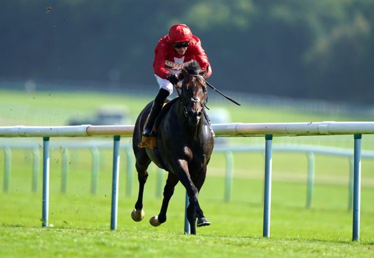 Chindit winning the Superior Mile Stakes at Haydock