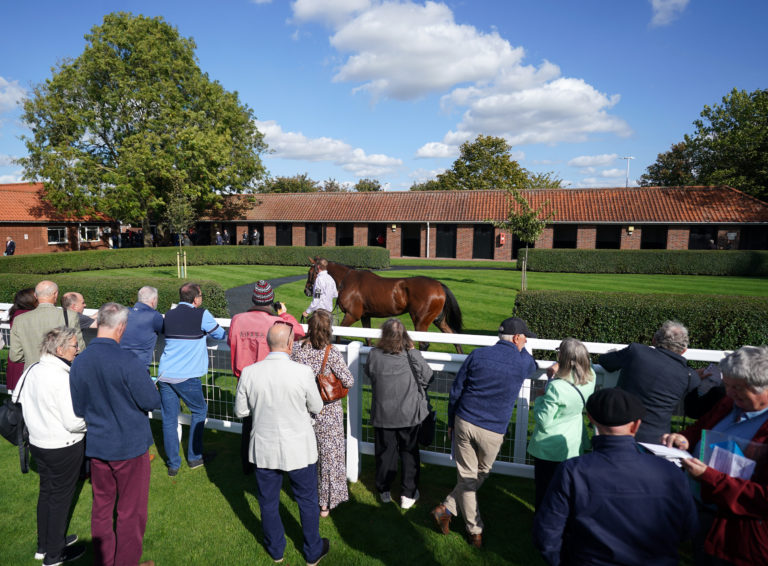 Racegoers look at Time Lock in the parade ring