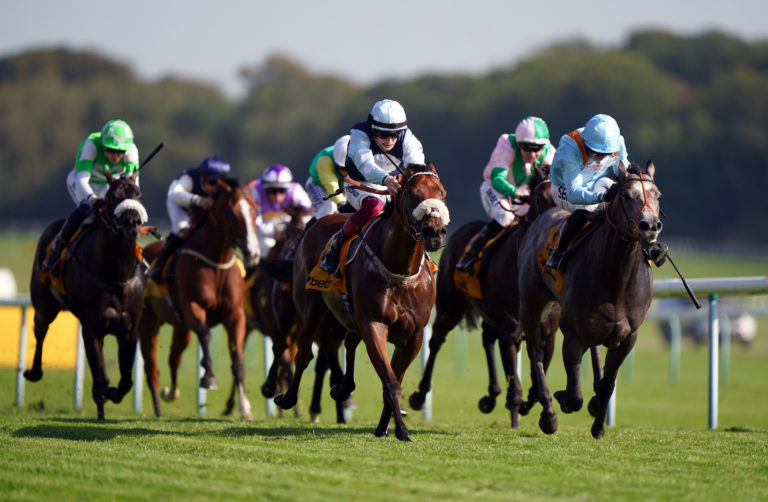 Shouldvebeenaring (right) finishing second in the Betfair Sprint Cup at Haydock