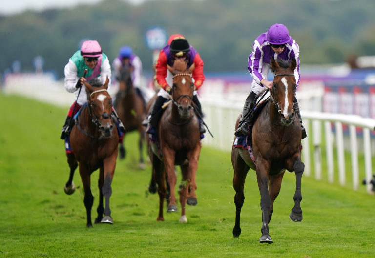St Leger hero Continuous was a gallant fifth at ParisLongchamp