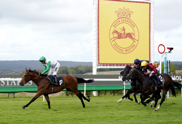 Iberian (right) had to settle for second at Goodwood in the Vintage Stakes