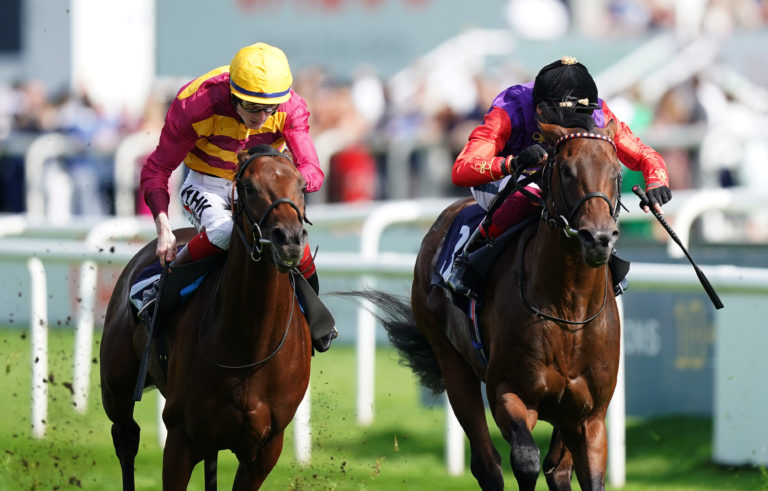 Bayside Boy (left) was also a Champagne Stakes winner