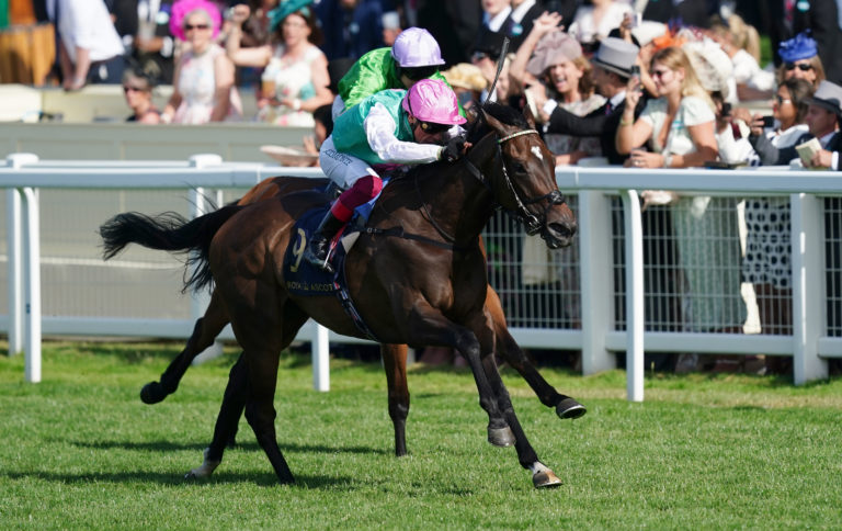 Coppice was a Royal Ascot winner