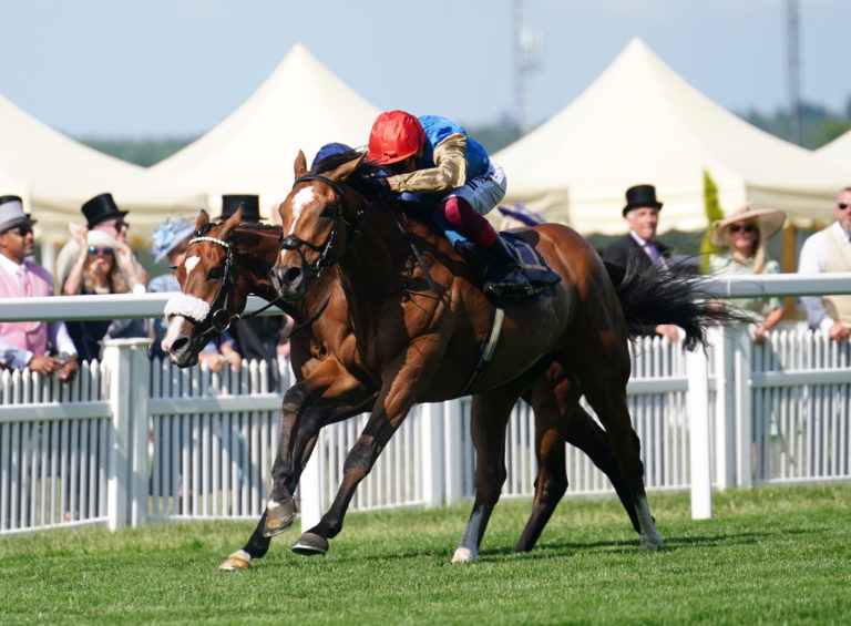 Courage Mon Ami in action in the Ascot Gold Cup