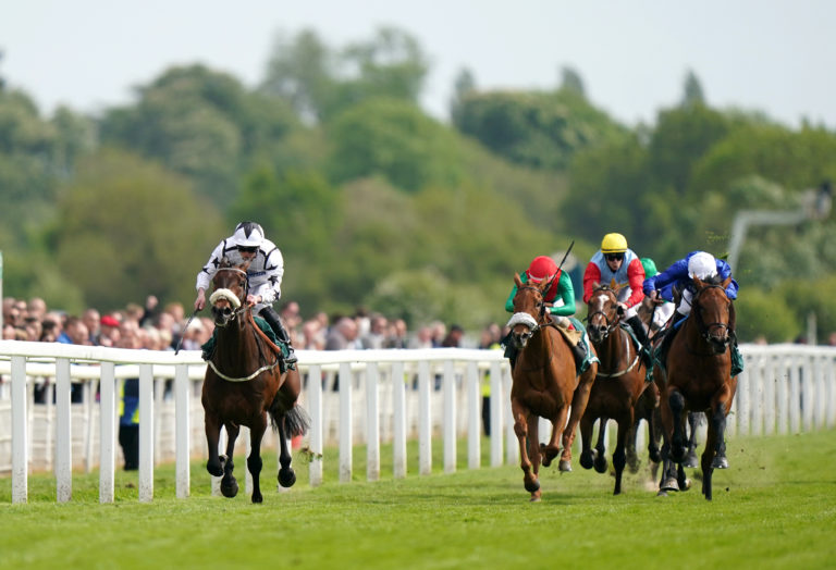 Al Qareem has been a star for connections