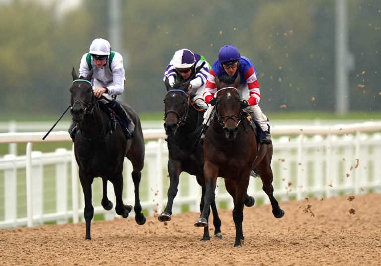 Southwell Races – Thursday 20th October
