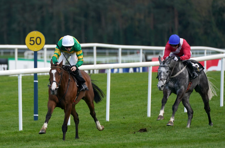 A Dream To Share won his fifth bumper at Punchestown