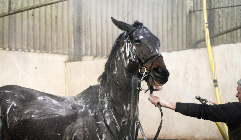 Conflated is hosed down during a visit to Gordon Elliott's yard