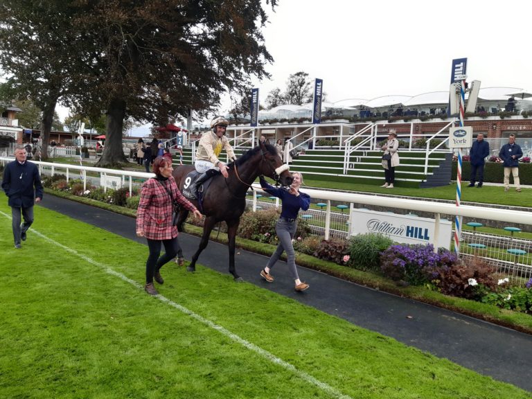 Apiarist and Tom Eaves return as winners