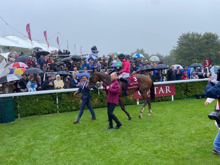 Facteur Cheval after his brave second in the Sussex Stakes