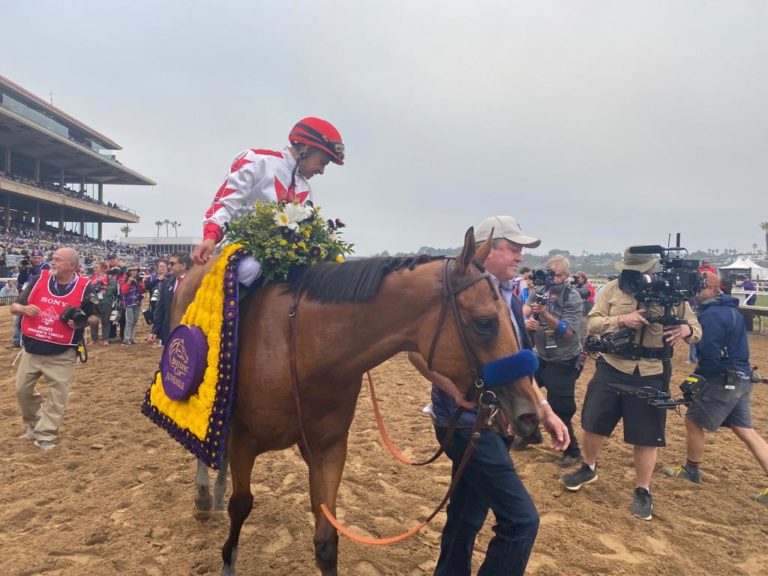 Mike Smith celebrates after a victory at the Breeders' Cup