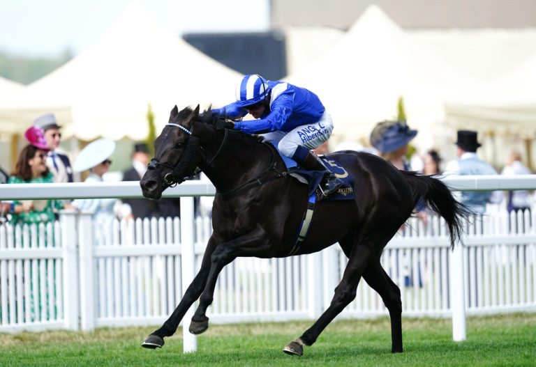 Mostahdaf was a Royal Ascot winner in June