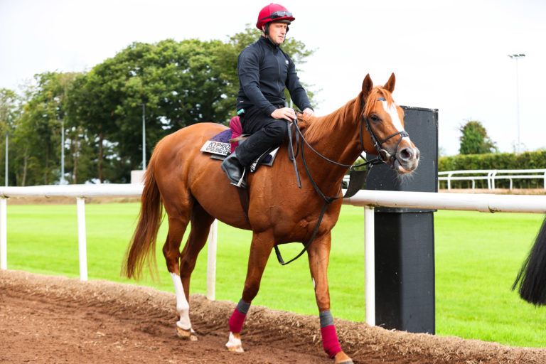 Aidan O'Brien Stable Visit Handout Photo