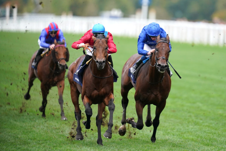 Bay Bridge (left) beat Adayar in the race last year