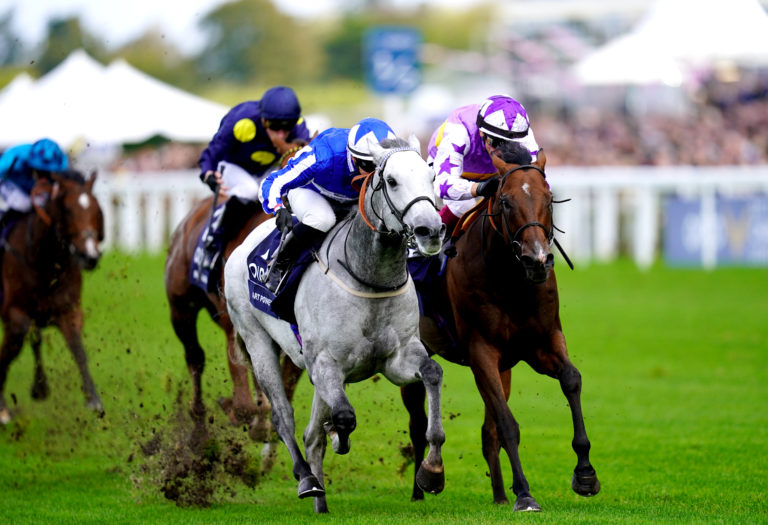 It was not to be in the Champions Sprint as Dettori's mount Kinross (right) was denied on the line by Art Power