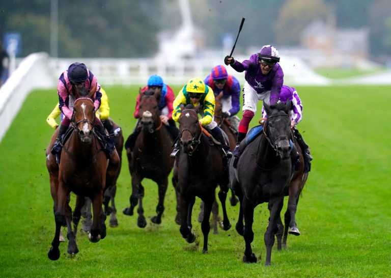 King Of Steel (right) gets up late to deny Via Sistina