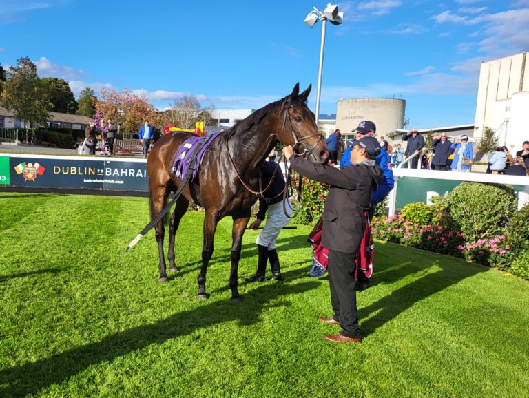 Boogie Woogie in the Leopardstown winner's enclosure