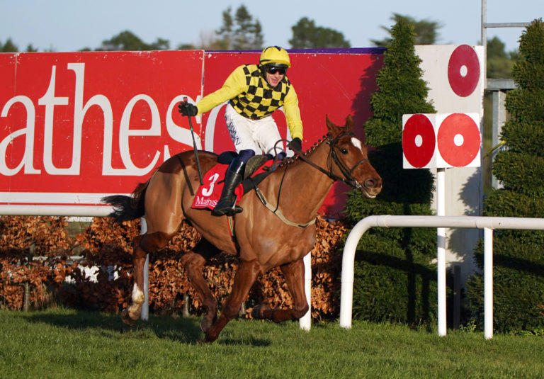 State Man won four Grade Ones in Ireland last season