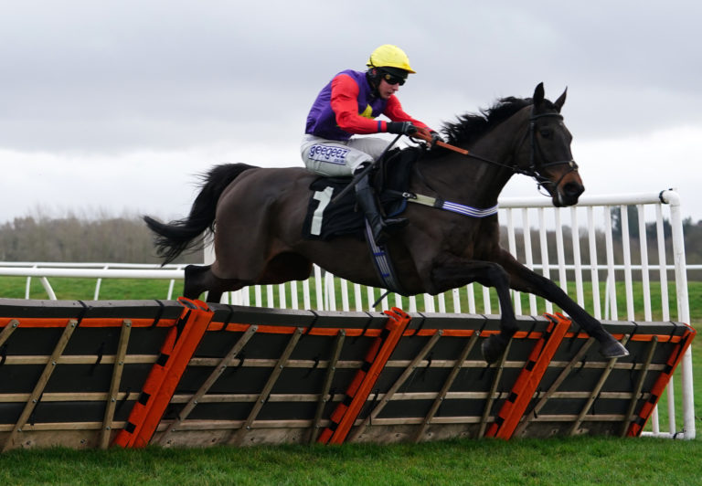 Dashel Drasher has good form over hurdles and fences