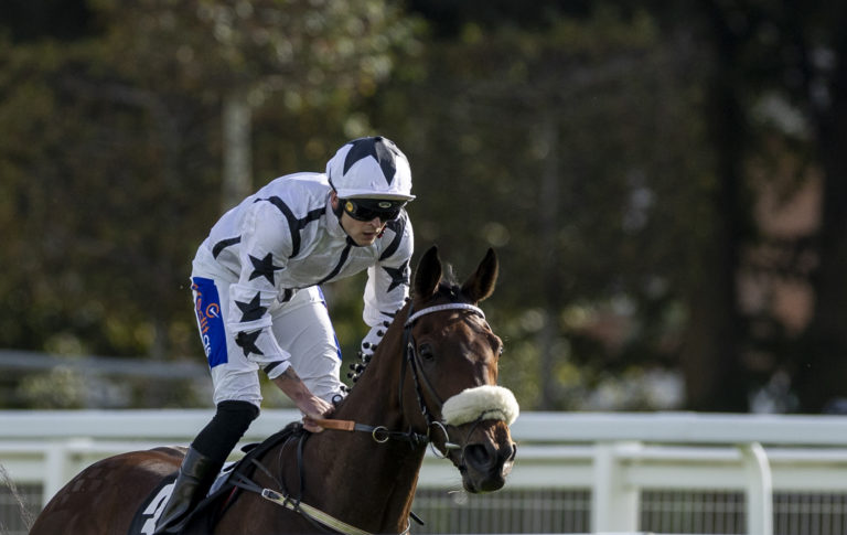 Al Qareem has been in great form of late