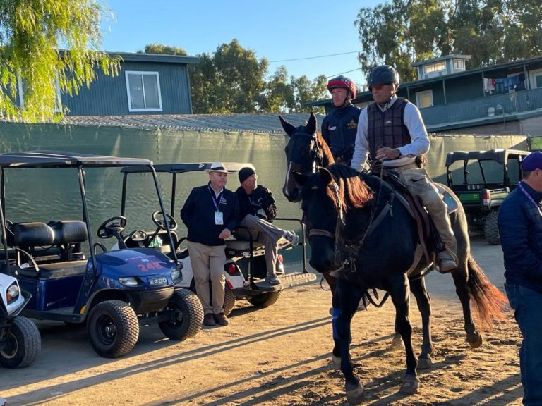 Inspiral and Frankie Dettori are led by the pony onto the track
