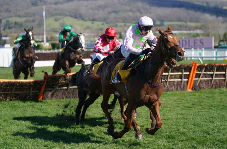 Vauban won the Triumph Hurdle at Cheltenham in 2022