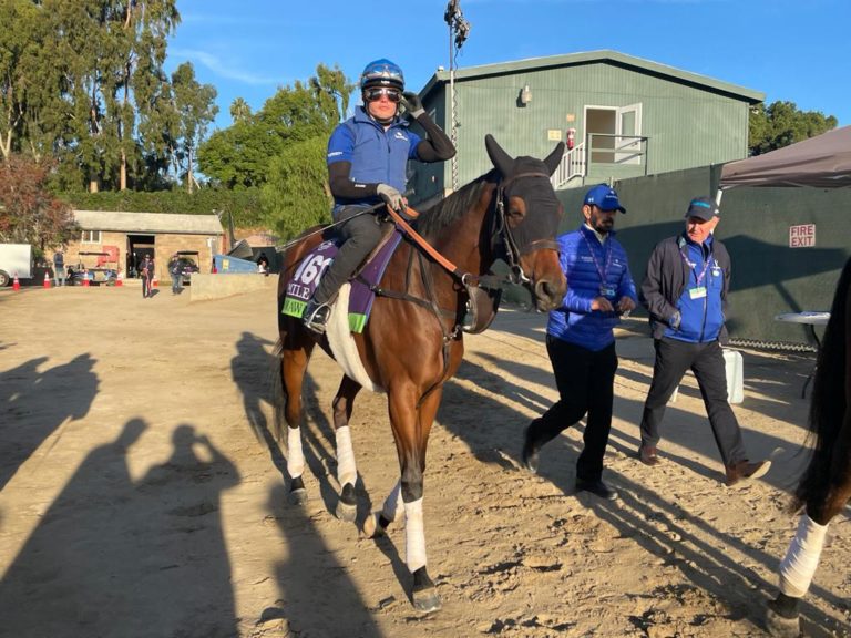Mawj heads out to the track on Wednesday