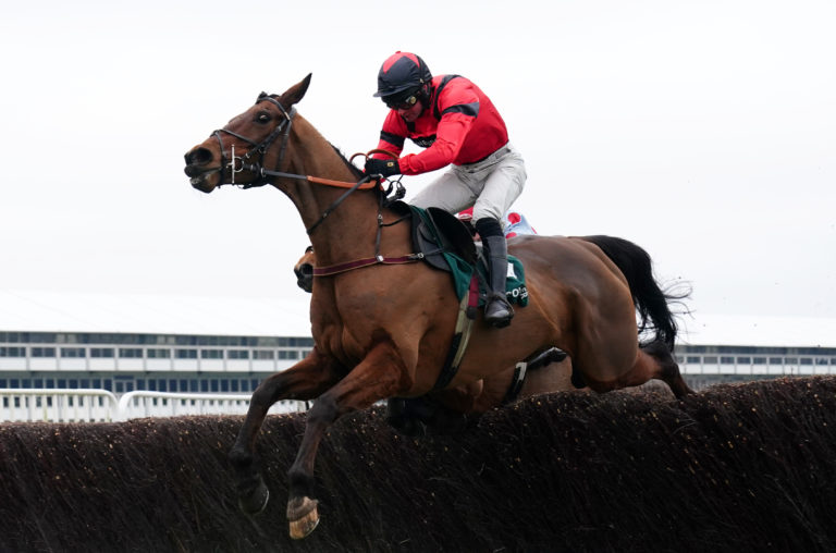 Ahoy Senor was pulled up in the Charlie Hall at Wetherby on Saturday